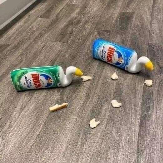 Chán quá, chơi trò vịt ăn bánh vậy nhé.