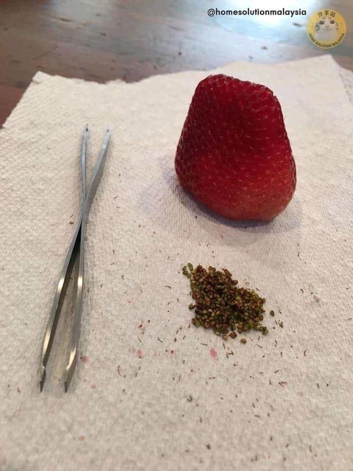 Dâu tây kiểu này nhìn cứ sao sao!