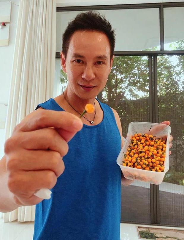 Có 3 loại gia vị đắt và hiếm nhất thế giới, Việt Nam đã trồng thành công cả 3-5