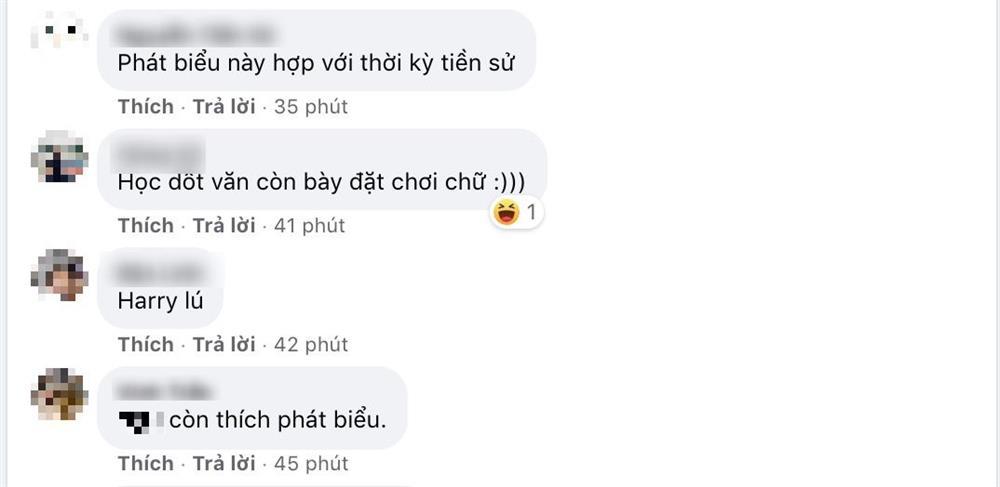 Harry Lu xin lỗi về phát ngôn Việt Nam theo chế độ mẫu hệ-4