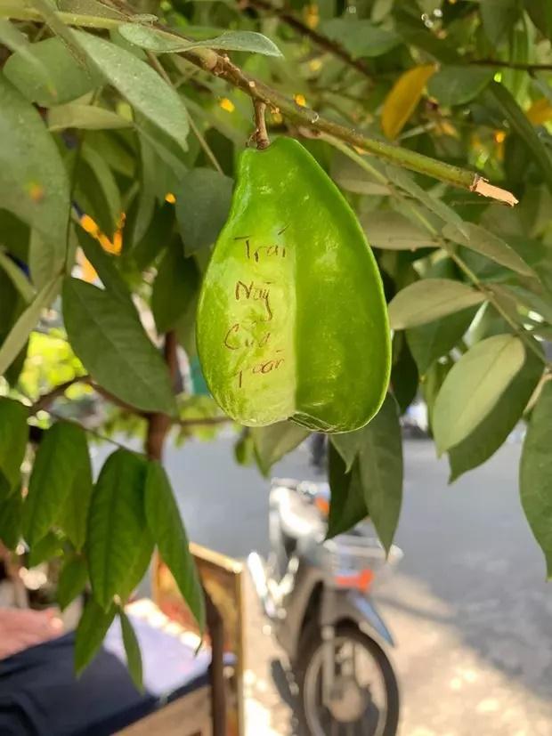 Dở khóc dở cười với chiêu chống nạn xoài tặc của gia chủ-6