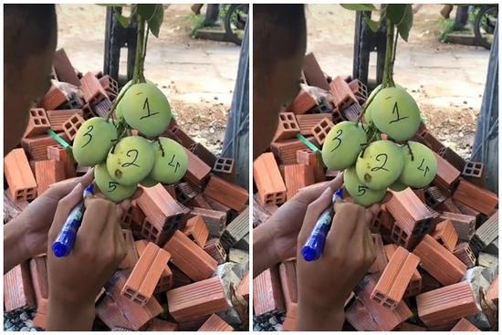 Dở khóc dở cười với chiêu chống nạn 'xoài tặc' của gia chủ