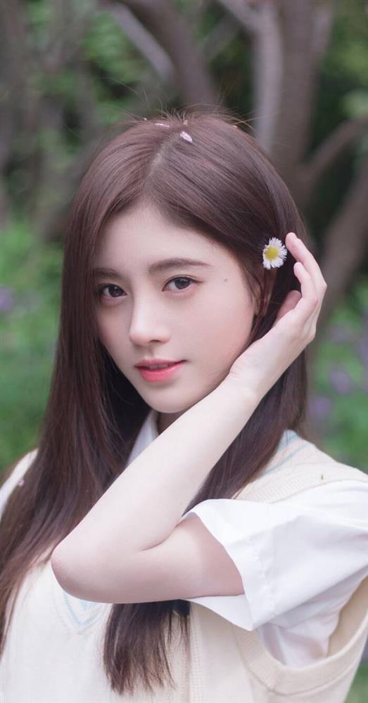 Fan khen Cúc Tịnh Y hay nức nở: Âm sắc khác biệt, có một không hai!-3