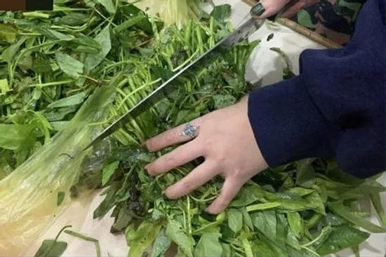 Lần đầu ra mắt, cô gái bị mẹ chồng tương lai 'đuổi thẳng cổ' vì cách nhặt rau muống