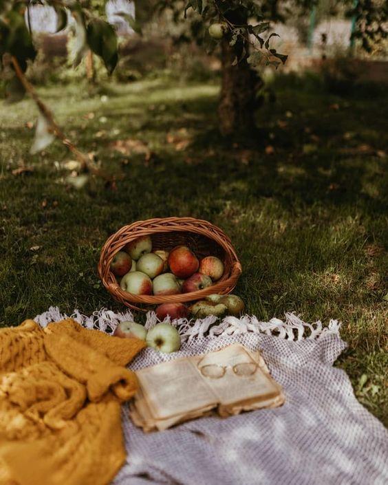 Tử vi 12 cung hoàng đạo Chủ nhật ngày 16/5/2021: Song Ngư ế vì tiêu chuẩn kép-1