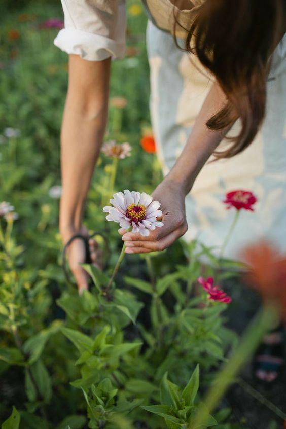 Tử vi 12 cung hoàng đạo Chủ nhật ngày 16/5/2021: Song Ngư ế vì tiêu chuẩn kép-2