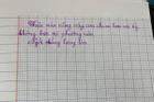 Mẹ đọc bài viết chính tả, con lầy lội viết một điều, dân mạng xem xong cười bò