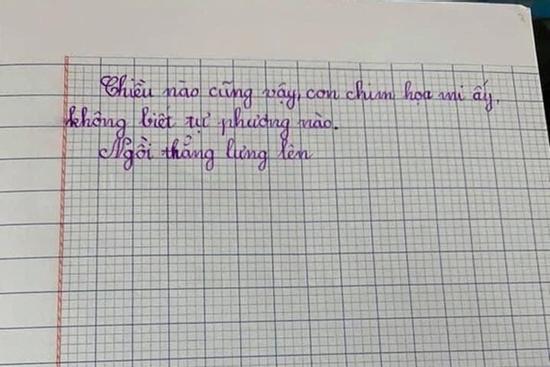 Mẹ đọc bài viết chính tả, con lầy lội viết một điều, dân mạng xem xong cười bò