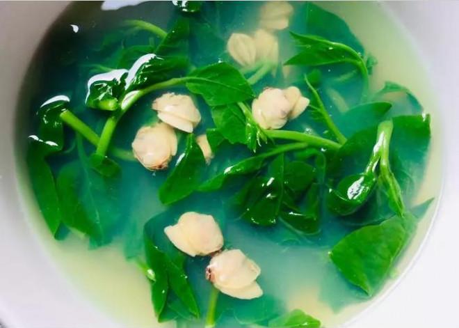 Mùa hè ăn rau mùng tơi khác nào thuốc độc, nhất định phải biết điều cần tránh-1