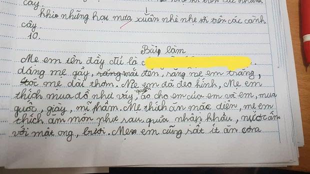 Nhóc tiểu học làm văn bóc phốt mẹ, đọc câu chốt mới hiếm có khó tìm-1