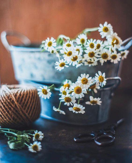 Tử vi 12 cung hoàng đạo thứ Hai ngày 17/5/2021: Bảo Bình toát ra sức hút kỳ lạ-3