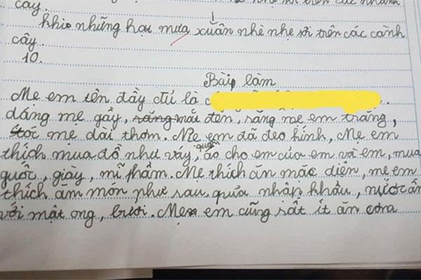 Nhóc tiểu học viết nhật ký tình yêu, đọc muốn sang chấn tâm lý-4