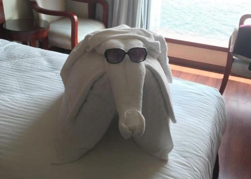 Cười ngất với 1001 kiểu trang trí câu khách bá đạo trong các khách sạn-7