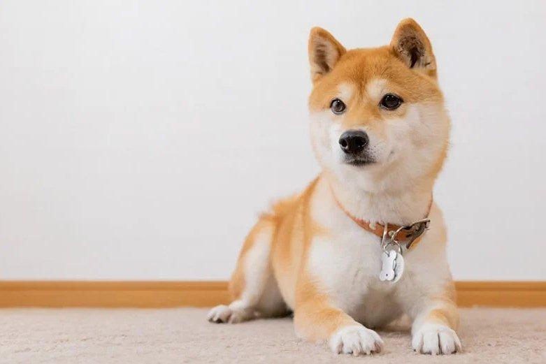 5 món đồ tưởng quý nhưng chứa đầy tà khí, không bỏ đi dễ rước họa sát thân-4