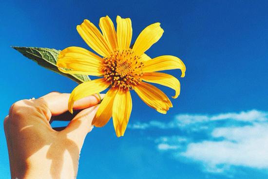 Tử vi tuần mới 12 con giáp từ ngày 17/5 đến 23/5/2021: Ai là người may mắn?