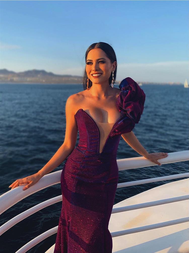 Tân Miss Universe Andrea Meza: Mỹ nhân cằm chẻ, thi đâu thắng đấy-10