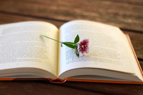 Mùa hè này, những con giáp bùng nổ sự nghiệp, tình yêu rực sáng