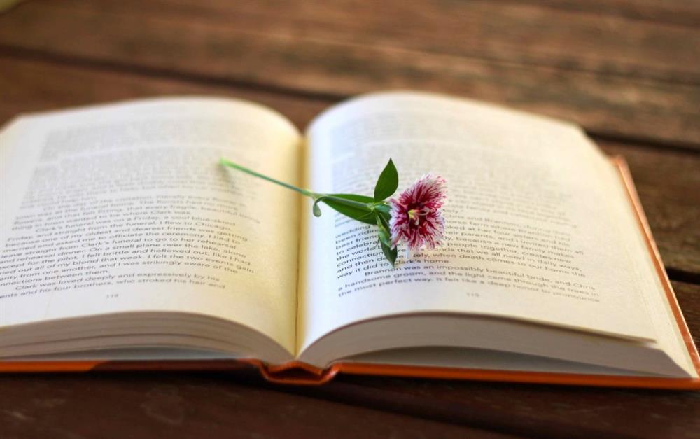 Mùa hè này, những con giáp bùng nổ sự nghiệp, tình yêu rực sáng-2