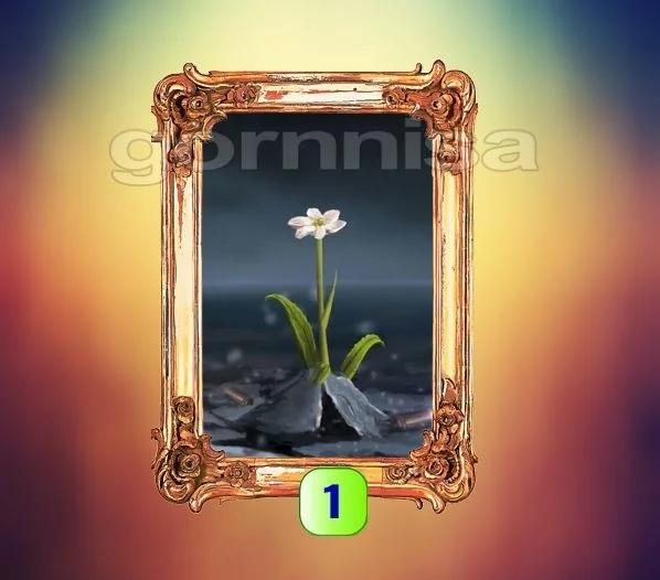 Chọn một lá bài Tarot để biết ngay lúc này, điều bạn cần làm là gì?-2