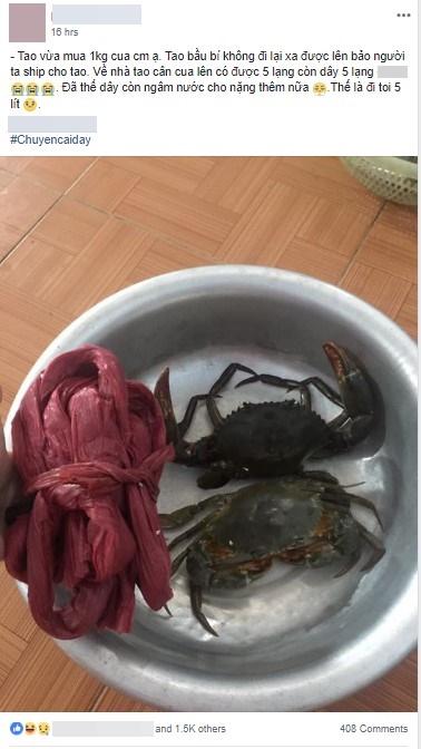 Đặt mua cua online, anh chàng khóc thét khi thấy phụ kiện còn nặng hơn cả cua-4