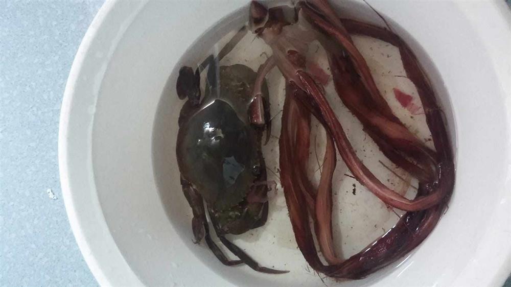 Đặt mua cua online, anh chàng khóc thét khi thấy phụ kiện còn nặng hơn cả cua-5