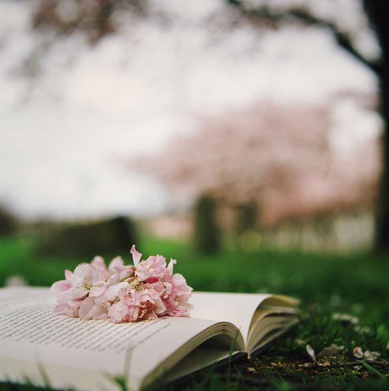 Tử vi 12 cung hoàng đạo thứ Tư ngày 19/5/2021: Sư Tử yêu cầu khắt khe-1