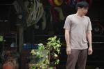 Cây Táo Nở Hoa - Bộ phim đạt kỷ lục phá hình ảnh diễn viên-6