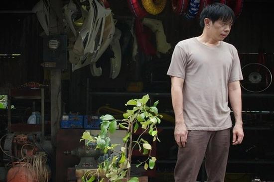 'Cây Táo Nở Hoa': Những người thích nói đạo lý nhưng sống như 'cánh bướm dối gian'
