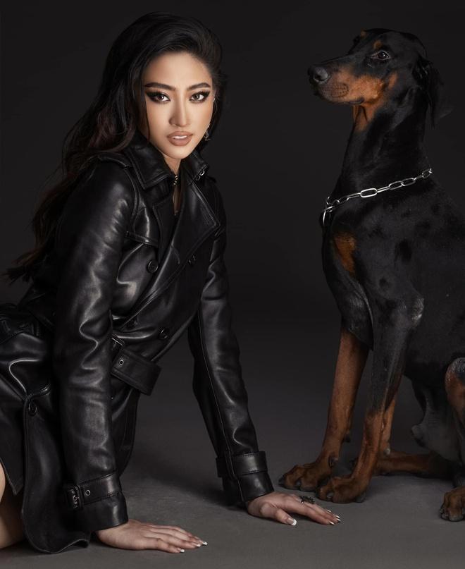 Hoa hậu không phải chỉ biết mặc đẹp-3