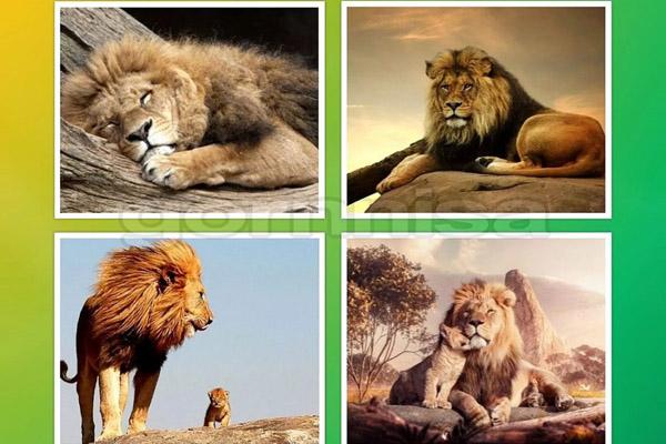 Những tháng ngày khổ ải đã hết, top con giáp vượt khó trở thành đại gia trong 1 năm tới-6