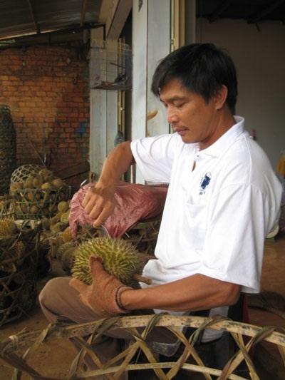 Sầu riêng đang vào mùa, chị em ghim ngay những mẹo chọn sầu ngon, không tẩm hóa chất-7