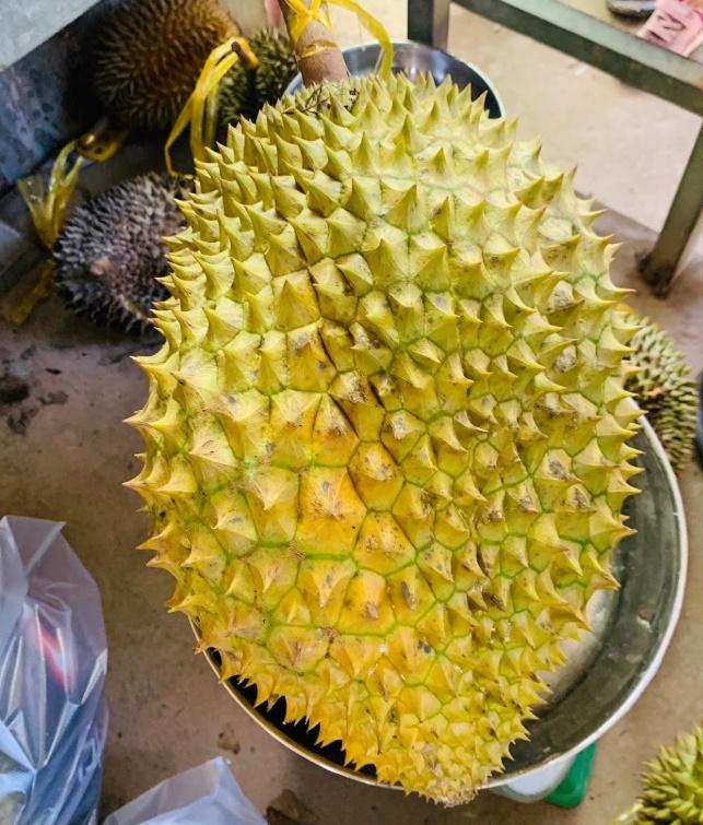 Sầu riêng đang vào mùa, chị em ghim ngay những mẹo chọn sầu ngon, không tẩm hóa chất-6