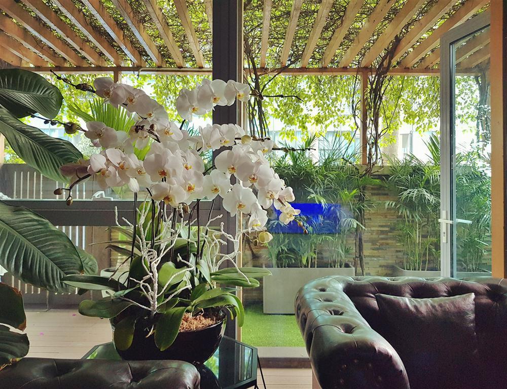 Nathan Lee gây sốc khi bán đấu giá toàn bộ đồ đạc trong nhà-7