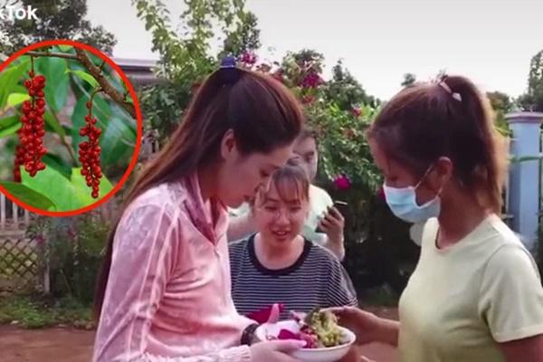 Cách pha sinh tố mâm xôi đỏ, đủ dinh dưỡng cho bữa sáng-1