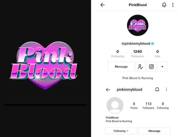 SM debut nhóm mới: Tên giống BLACKPINK nhưng lại liên quan aespa?-1