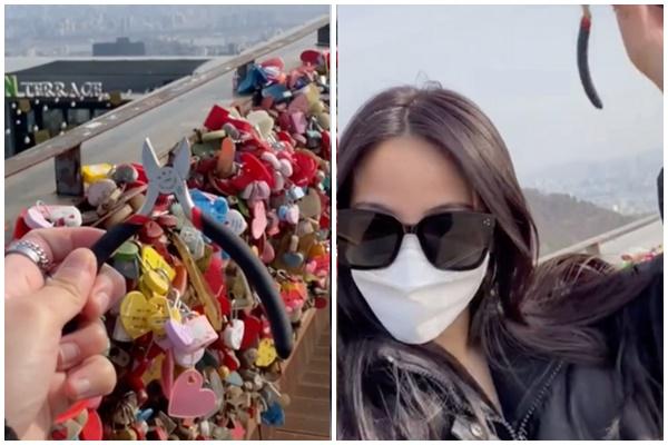 Du khách chọc phá lợn biển ở Mỹ-1