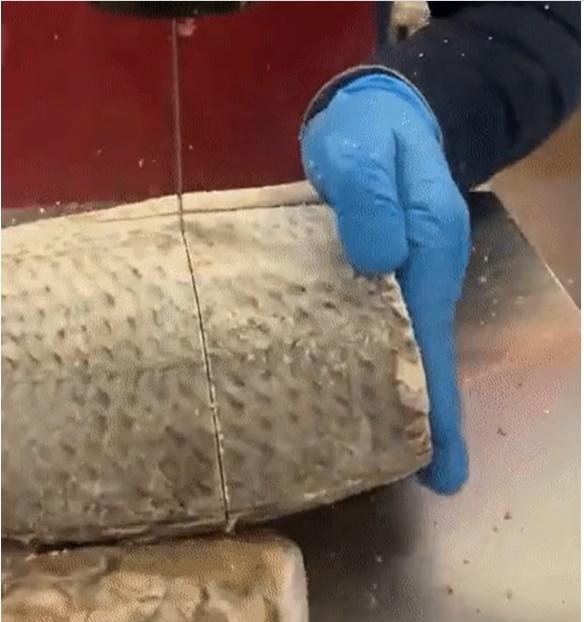 Đã tìm ra cách nhà máy cắt tỉa thịt cá cực thẳng, nhưng ai nhìn vào cũng lạnh gáy vì lý do này-2