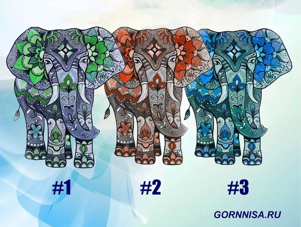 Chọn một con voi, tìm ra điều mà bạn muốn vứt bỏ ngay lúc này-1