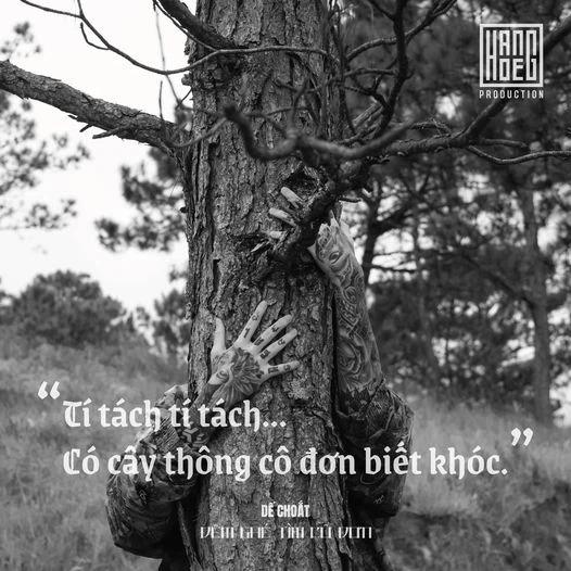 Cái cây made by Đen Vâu lại nhảy bổ vào MV mới của Dế Choắt hay gì?-2