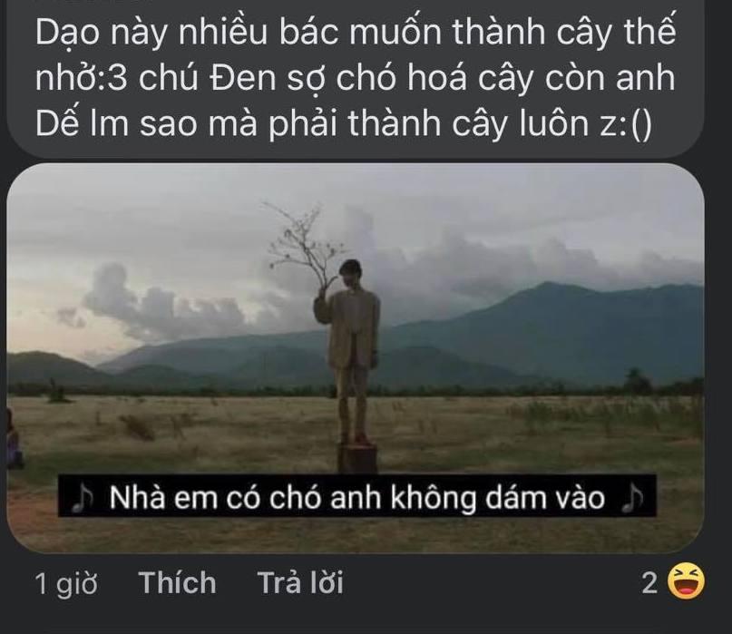 Cái cây made by Đen Vâu lại nhảy bổ vào MV mới của Dế Choắt hay gì?-5