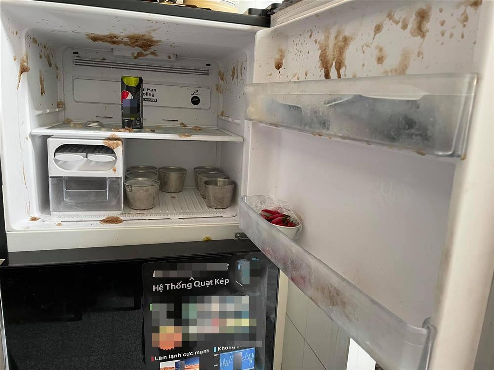 Hy hữu, cô gái khoe tủ lạnh trữ đầy sầu riêng vàng ươm: Ở nhà giãn cách  không lo thiếu đồ ngọt