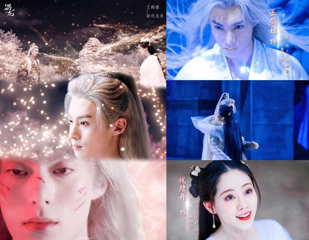 Vương Hạc Đệ diễn xuất quá tệ, Ngộ Long chỉ được chấm 4.1 điểm-2