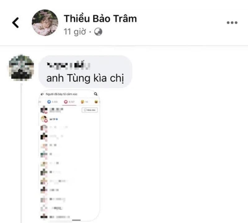 Thực hư chuyện Sơn Tùng thả tim ảnh Thiều Bảo Trâm-2