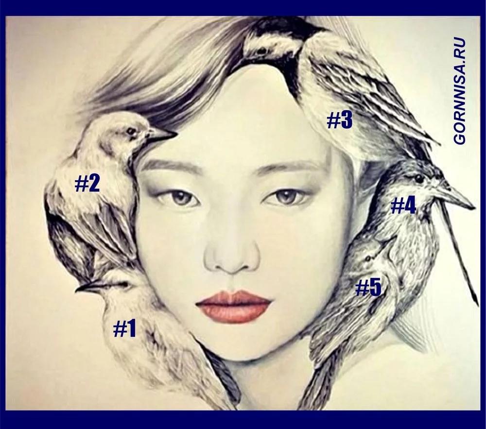 Chọn một chú chim để xem thói hư tật xấu trong tính cách của bạn là gì?-1