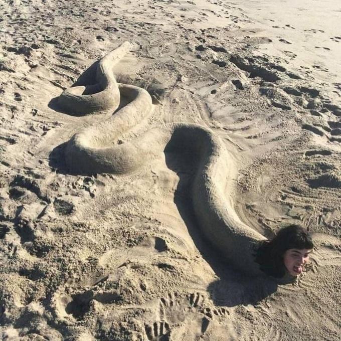 Có những con người đi biển chỉ làm trò cười cho người khác-8