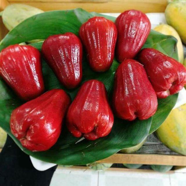 Các loại quả Bắc gọi một đằng, Nam thưa một nẻo, ai không sành chẳng mấy lú lẫn-4