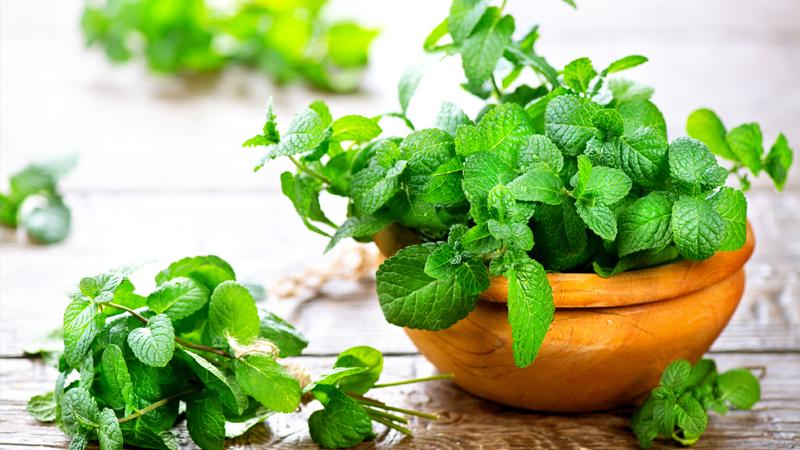 Các loại quả Bắc gọi một đằng, Nam thưa một nẻo, ai không sành chẳng mấy lú lẫn-11