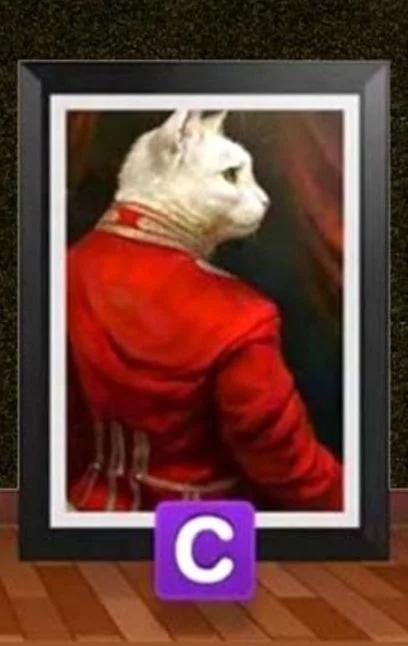 Chọn con mèo yêu thích tiết lộ tố chất lãnh đạo của bạn thế nào?-4