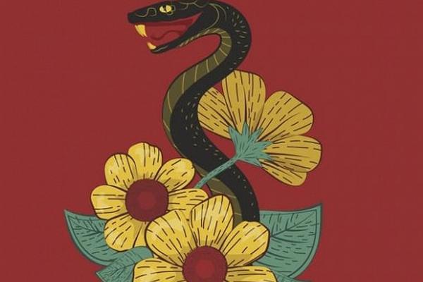 Tuần mới, những cung hoàng đạo cẩn thận ngồi không cũng dính đạn-4