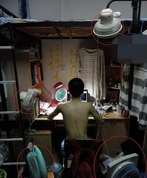 Giữa cái nóng như thiêu đốt, người ta nghĩ ra nhiều cách chống chọi hài hước-6